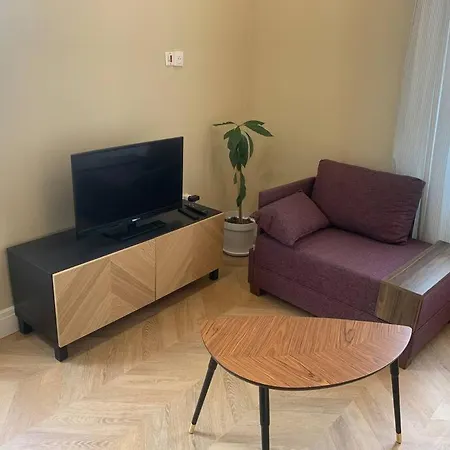 Centre Historique - Le Modene Apartment Vienne (Isere)